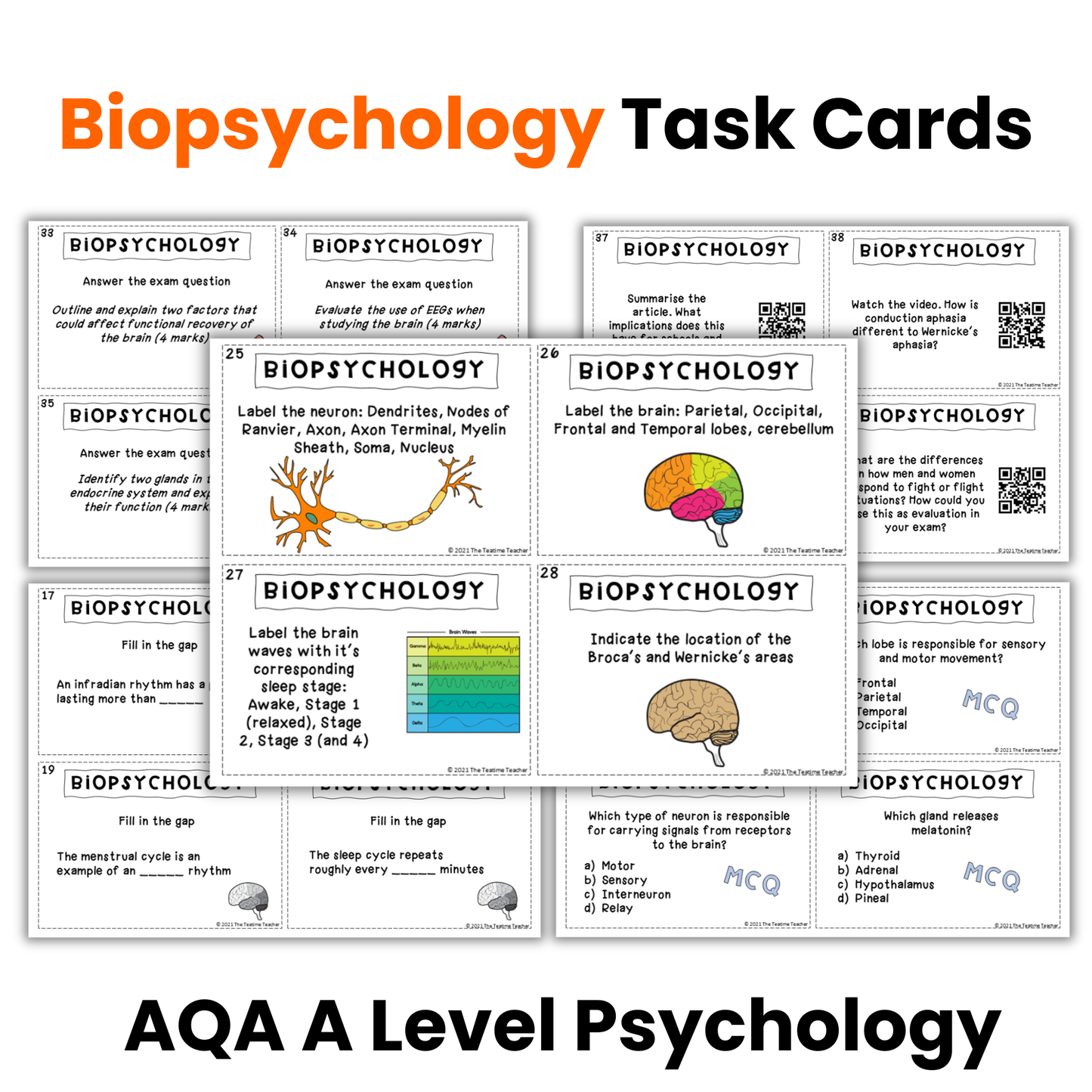 Biopsychology Revision Activity | Task Cards | A Level Psychology (AQA)